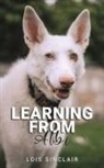 Lois Sinclair - Learning from Albi