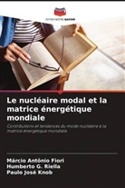 Márcio Antônio Fiori, Paulo José Knob, Humberto G. Riella - Le nucléaire modal et la matrice énergétique mondiale