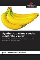 Júlio César Gomes Pereira - Synthetic banana seeds: substrate x auxin