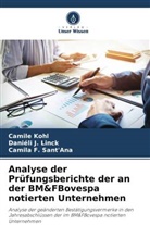 Camile Kohl, Daniéli J Linck, Daniéli J. Linck, Camila F Sant'Ana, Camila F. Sant'Ana - Analyse der Prüfungsberichte der an der BM&FBovespa notierten Unternehmen
