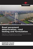 MEZIANI Brahim, GADOURI Hamid - Road pavement deterioration, road testing and formulation