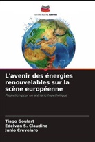 Junio Crevelaro, Tiago Goulart, Edelvan S. Claudino - L'avenir des énergies renouvelables sur la scène européenne