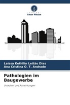 Laissa Kethllin Leitão Dias, Ana Cris O T Andrade, Ana Cristina O. T. Andrade - Pathologien im Baugewerbe