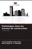 Laissa Kethllin Leitão Dias, Ana Cristina O. T. Andrade - Pathologies dans les travaux de construction