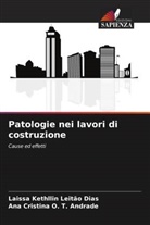 Laissa Kethllin Leitão Dias, Ana Cristina O. T. Andrade - Patologie nei lavori di costruzione