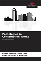 Laissa Kethllin Leitão Dias, Ana Cristina O. T. Andrade - Pathologies in Construction Works