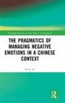 Rong Lei - Pragmatics of Managing Negative Emotions in a Chinese Context