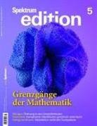 Spektrum der Wissenschaft - Spektrum edition Nr. 5 - Grenzgänge der Mathematik
