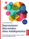 Reinhard Maß - Depressionen überwinden ohne Antidepressiva