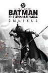 Viktor Bogdanovic, Alisson Borges, Matt Clark, Tim Seeley, Peter J Tomasi, Peter J. Tomasi - Batman: The Arkham Saga Omnibus (New Edition)
