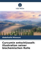 Abdelhafid Mimouni - Curcumin entschlüsselt: Illustration seiner biochemischen Rolle