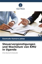 Ssemudu Kamara Julius - Steuervergünstigungen und Wachstum von KMU in Uganda