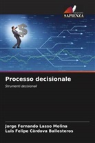 Luis Felipe Còrdova Ballesteros, Jorge Fernando Lasso Molina - Processo decisionale