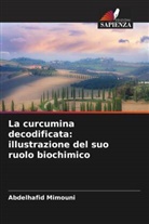 Abdelhafid Mimouni - La curcumina decodificata: illustrazione del suo ruolo biochimico
