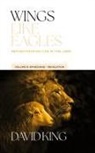 David King - Wings Like Eagles