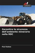 Paul Kabwe - Garantire la sicurezza dell'ambiente minerario nella RDC