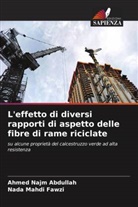 Nada Mahdi Fawzi, Ahmed Najm Abdullah - L'effetto di diversi rapporti di aspetto delle fibre di rame riciclate