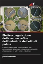Josué Navarro - Elettrocoagulazione delle acque reflue dell'industria dell'olio di palma