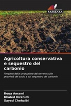Roua Amami, Sayed Chehaibi, Khaled Ibrahimi - Agricoltura conservativa e sequestro del carbonio
