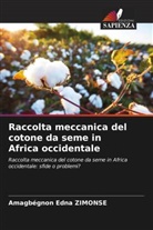 Amagbégnon Edna Zimonse - Raccolta meccanica del cotone da seme in Africa occidentale