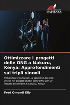 Fred Omondi Elly - Ottimizzare i progetti delle ONG a Nakuru, Kenya: Approfondimenti sui tripli vincoli