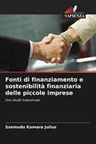 Ssemudu Kamara Julius - Fonti di finanziamento e sostenibilità finanziaria delle piccole imprese