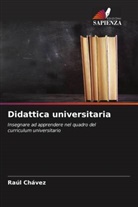 Raúl Chávez - Didattica universitaria