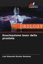 Luis Eduardo Durães Barboza - Enucleazione laser della prostata