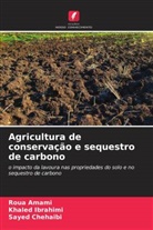 Roua Amami, Sayed Chehaibi, Khaled Ibrahimi - Agricultura de conservação e sequestro de carbono