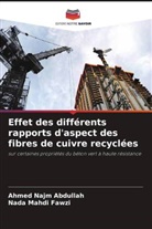 Nada Mahdi Fawzi, Ahmed Najm Abdullah - Effet des différents rapports d'aspect des fibres de cuivre recyclées