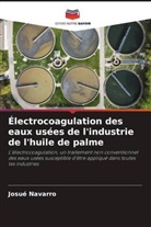 Josué Navarro - Électrocoagulation des eaux usées de l'industrie de l'huile de palme