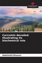 Abdelhafid Mimouni - Curcumin decoded: Illustrating its biochemical role