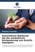 Denilson Scaquitto - Autochthone Bakterien bei der produktiven Verbesserung von Arachis Hypogaea