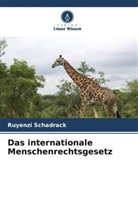 Ruyenzi Schadrack - Das internationale Menschenrechtsgesetz