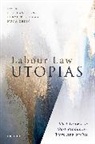 Prof Nicolas (Professor of Law Bueno, Nicolas Bueno, Beryl ter Haar, Nuna Zekic - Labour Law Utopias