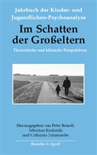 Thomas Aichhorn, Denia Barrett, Peter Bründl, Peter Bründl, Sebastian Kudritzki, Salamander... - Im Schatten der Großeltern