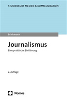 Janis Brinkmann - Journalismus