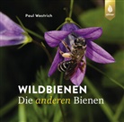 Dr Paul Westrich, Dr. Paul Westrich, Paul Westrich - Wildbienen, die anderen Bienen