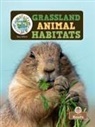 Amy Culliford - Grassland Animal Habitats