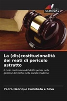 Pedro Henrique Carinhato e Silva - La (dis)costituzionalità dei reati di pericolo astratto