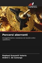 André C. de Camargo, Raphael Guazzelli Valerio - Percorsi aberranti