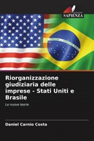 Daniel Carnio Costa - Riorganizzazione giudiziaria delle imprese - Stati Uniti e Brasile