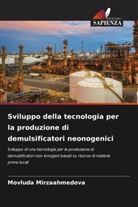 Movluda Mirzaahmedova - Sviluppo della tecnologia per la produzione di demulsificatori neonogenici