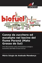 Mário Sérgio de Andrade Mendonça - Canna da zucchero ed eucalipto nel bacino del fiume Paraná (Mato Grosso do Sul)
