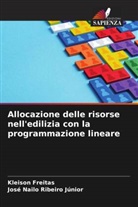 Kleison Freitas, José Nailo Ribeiro Júnior - Allocazione delle risorse nell'edilizia con la programmazione lineare