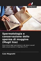 Caio Magnotti - Spermatologia e conservazione dello sperma di muggine (Mugil liza)
