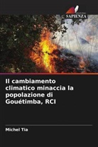 Michel Tia - Il cambiamento climatico minaccia la popolazione di Gouétimba, RCI