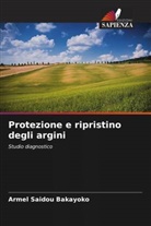 Armel Saidou Bakayoko - Protezione e ripristino degli argini