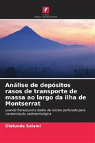 Olatunde Salami - Análise de depósitos rasos de transporte de massa ao largo da ilha de Montserrat