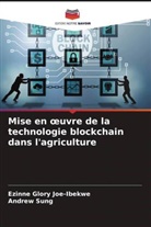 Ezinne Glory Joe-Ibekwe, Andrew Sung - Mise en oeuvre de la technologie blockchain dans l'agriculture